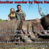 www.facebook.com/mara.maroi https://twitter.com/SA_Huntress @SA_Huntress https://www.facebook.com/maroi.conservancy http://www.maroiconservancy.co.za