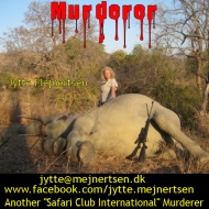 https://www.facebook.com/jytte.mejnertsen http://www.africandreams.dk/en/relevant/elephant-hunting-zimbabwe/ http://www.linkedin.com/pub/jytte-mejnertsen/32/a11/a3a