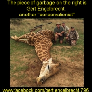 Must be a real tough guy to kill a giraffe https://www.facebook.com/gert.engelbrecht.796