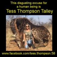 https://www.facebook.com/tess.thompson.58